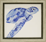 Blue Sea Turtle